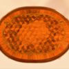 Circa 1900 French Louis XVI Style Occasional Table with Parquetry - Image 5