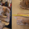 Pair of 20th Century Life-Size Striated Pink Marble Lions - Image 5