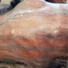 Pair of 20th Century Life-Size Striated Pink Marble Lions - Image 6