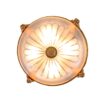 Early 20th Century French Neoclassical with Ormolu and Frosted Etched Glass Pendant Chandelier - Image 17