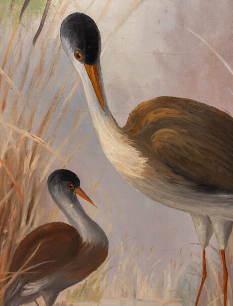 Mid-19th Century English Aesthetic Movement Oil on Canvas Four Panel Screen of Birds - Image 13